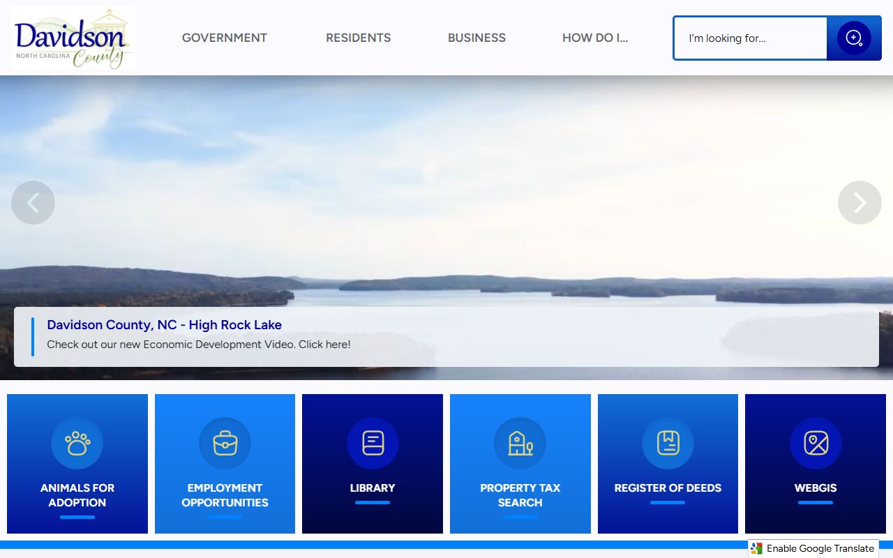 Davidson County divorce records government website